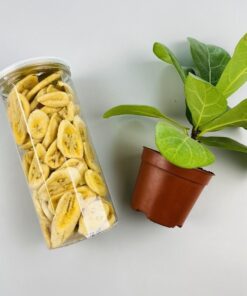 Chuối sấy giòn - Hũ pét 930ml