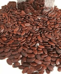 Hạt dưa- Hủ pét 930ml