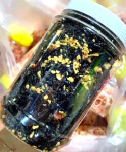 Rong biển tỏi- Hũ pét 930ml